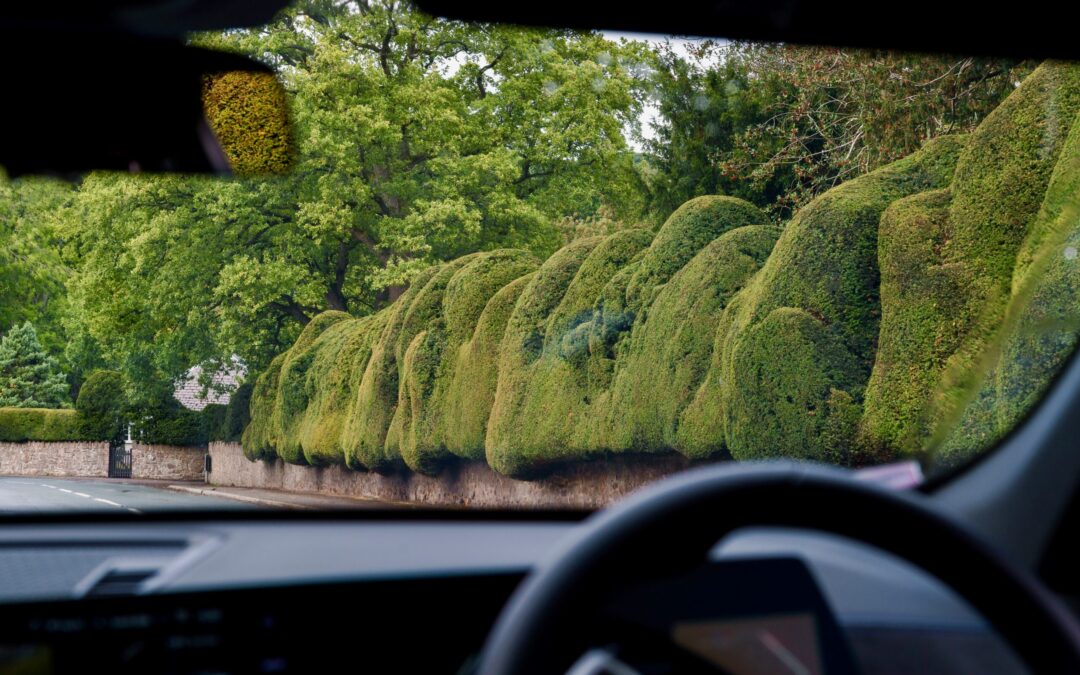 Blind Driveways and Hedge Lined Streets in Brentwood A Hidden Cause of Neighborhood Crashes